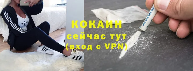 Кокаин Fish Scale  Пятигорск 