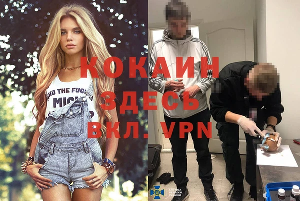 стаф Мегион
