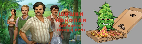 стаф Мегион