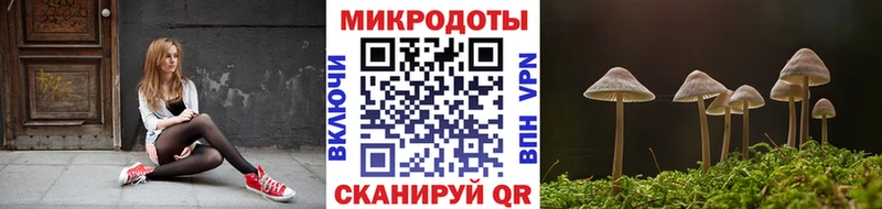 даркнет сайт  Пятигорск  Псилоцибиновые грибы прущие грибы 