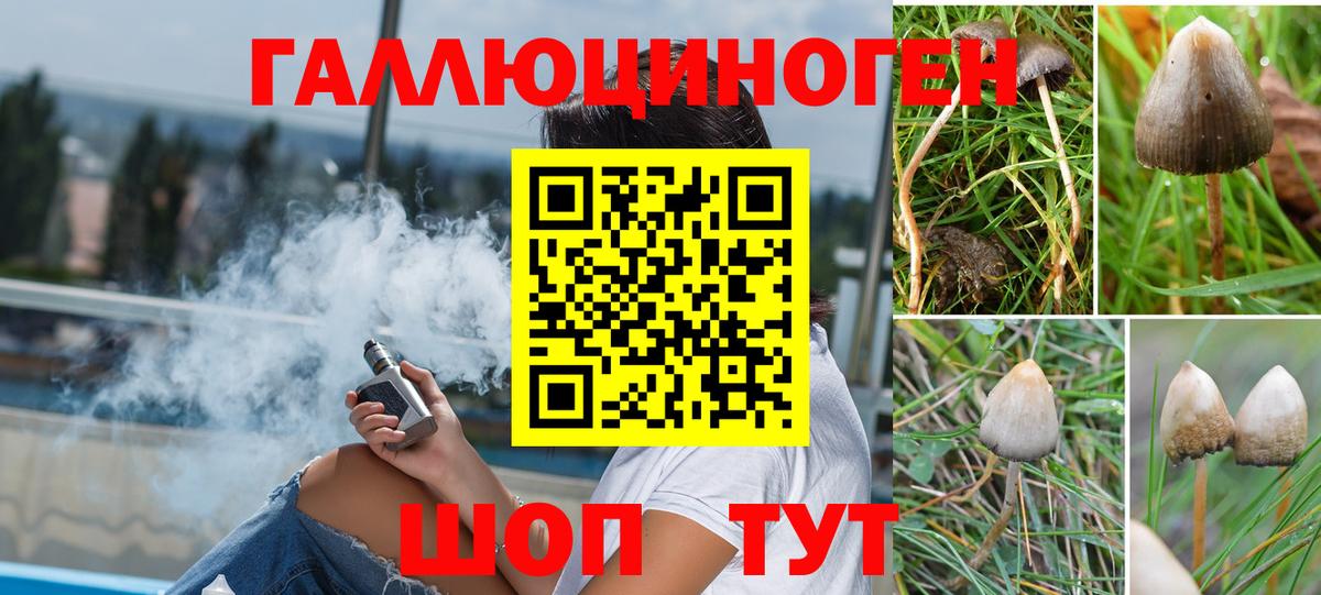 купить наркоту  Пятигорск  Галлюциногенные грибы прущие грибы 