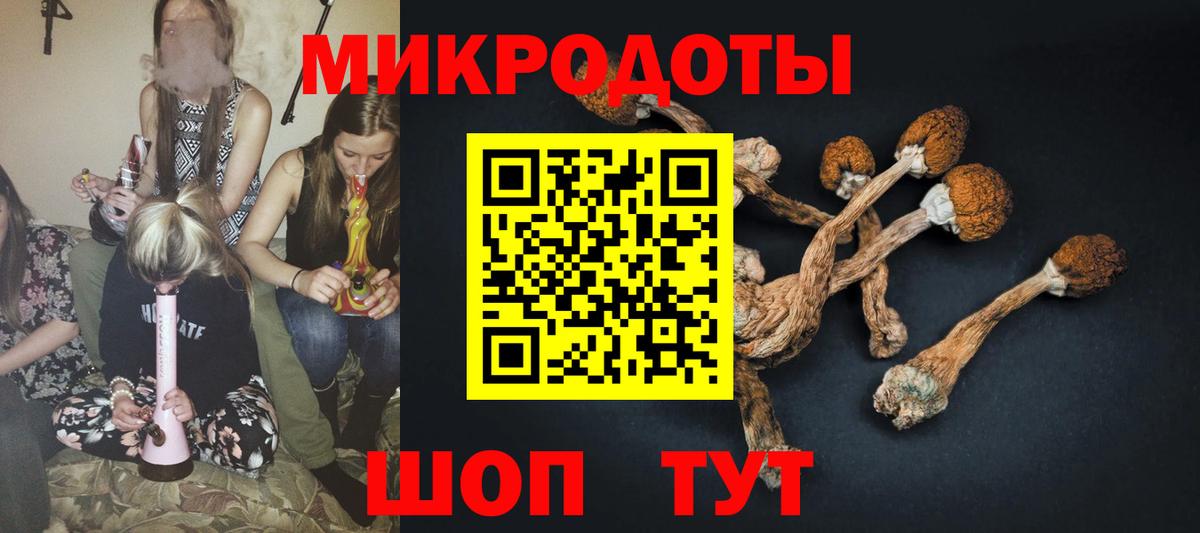 Пятигорск  Псилоцибиновые грибы GOLDEN TEACHER  Вход с VPN 