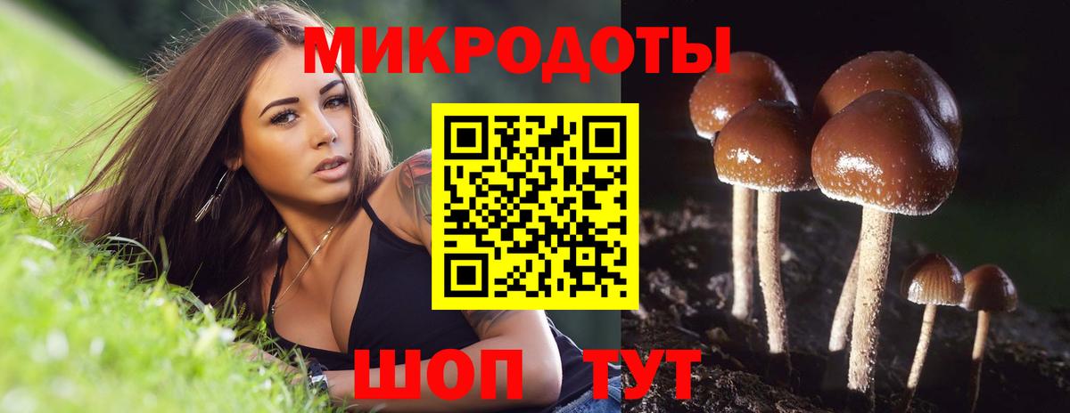 Псилоцибиновые грибы GOLDEN TEACHER Пятигорск
