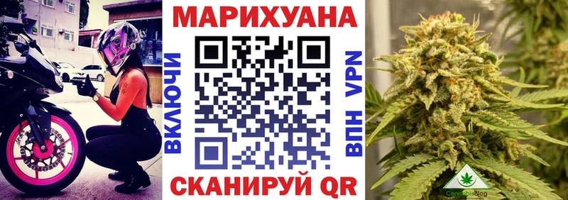 сколько стоит  Пятигорск  Бошки Шишки Ganja 