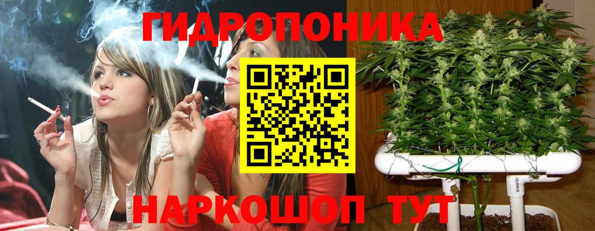 Кислота  A-PVP  Вход с VPN  Мефедрон  Масло THC  Пятигорск  Гарик  COCAIN  Каннабис  Канабис 